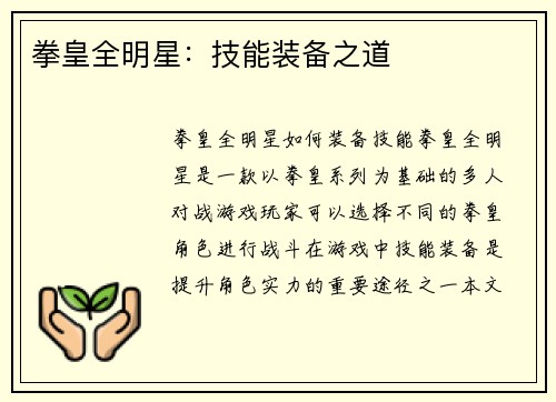 拳皇全明星：技能装备之道
